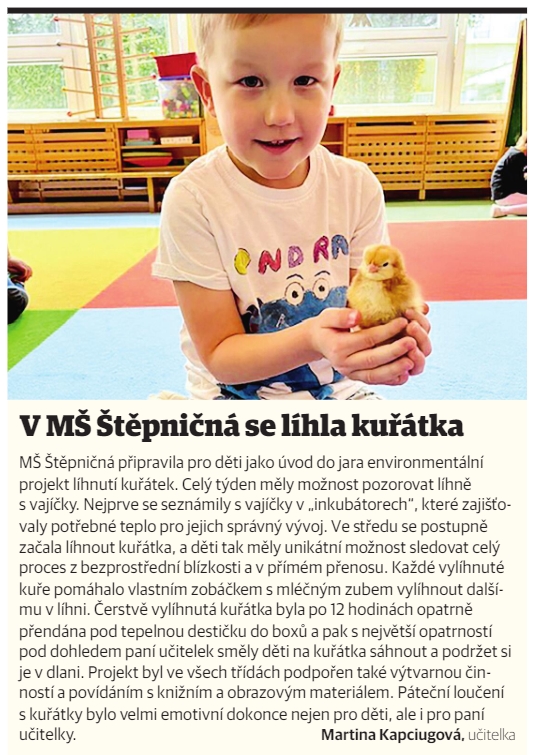Kůrátka